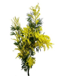 9D648D64-A2F6-4F93-8B03-7D5C94CB61F1