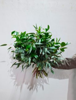 EA6E252D-601E-474E-926F-084614A4160D - Editada