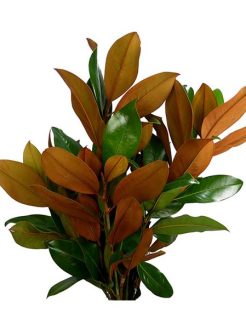 F210D084-7056-47F4-860F-F8C1A54CD8C4