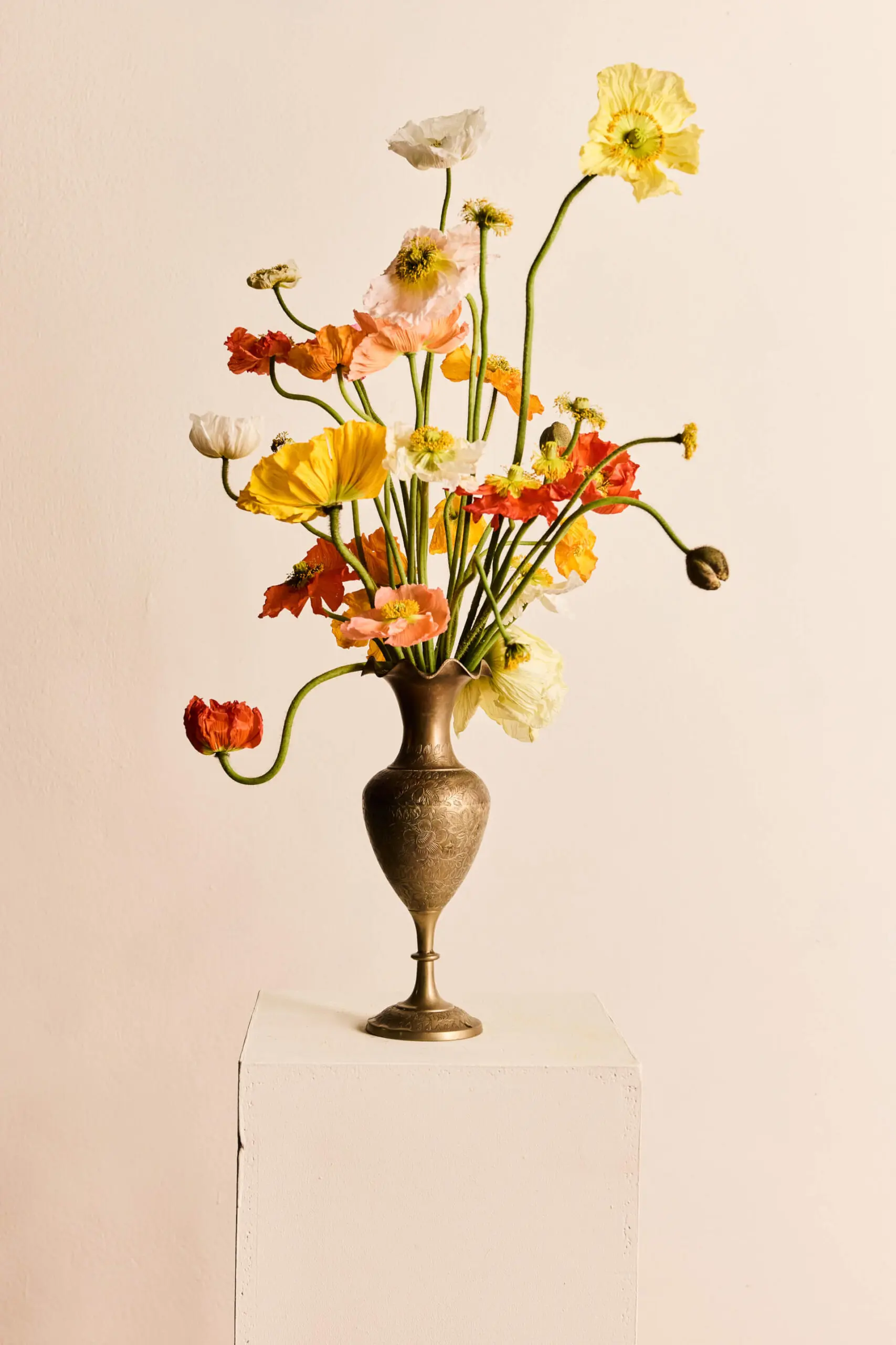 Arreglo de amapolas multicolor en un jarrón dorado